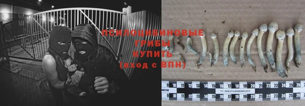 гидра Осташков