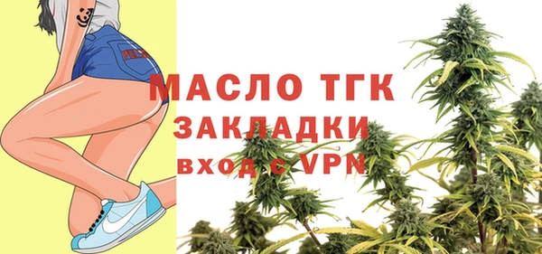 мет Инта