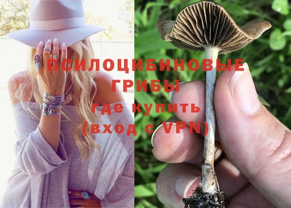 мдма Осинники