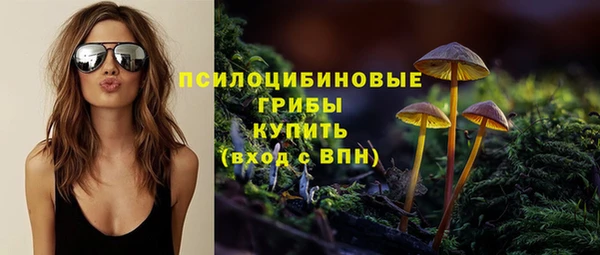 прущая мука Остров