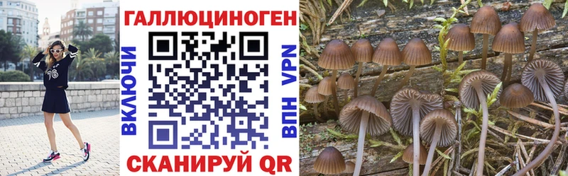 кракен ссылки  Северобайкальск  Псилоцибиновые грибы MAGIC MUSHROOMS 
