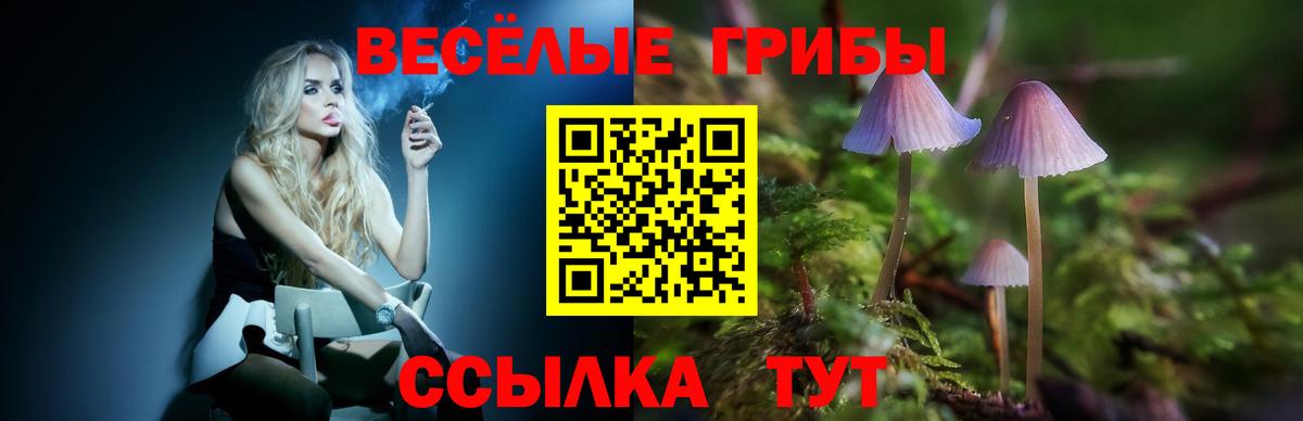 Галлюциногенные грибы Psilocybine cubensis Северобайкальск